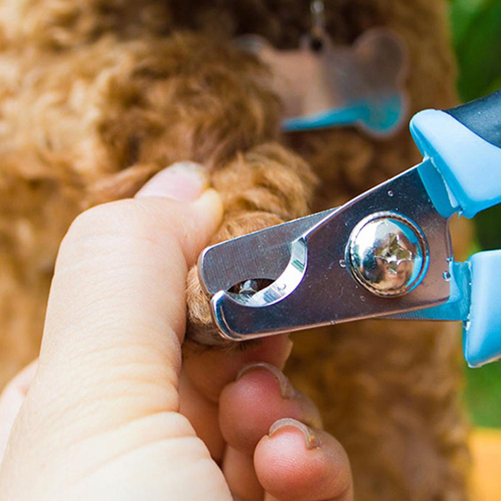 Stainless Steel Dog Nail Clippers with Guard & Grinder