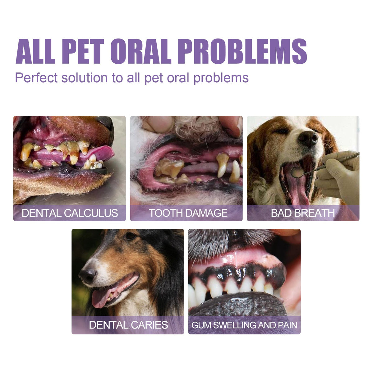 Pet Oral Cleaning Gel for Fresher Breath & Cleaner Teeth