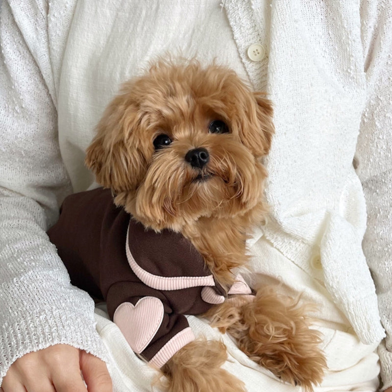 Small Dog Pajamas for Warm, Cozy Winter Comfort