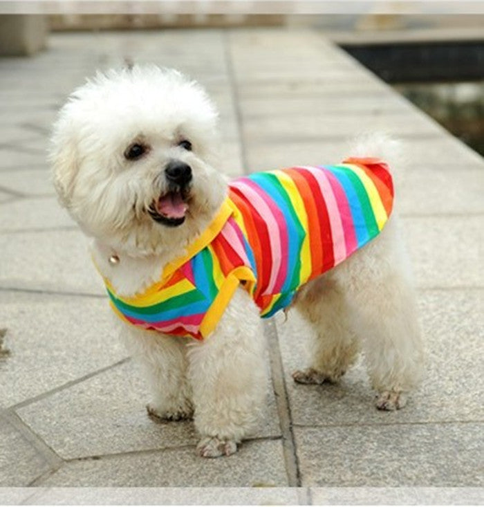 Rainbow Striped Pet Vest for Small Dogs and Cats Outdoors