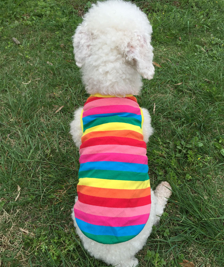 Rainbow Striped Pet Vest for Small Dogs and Cats Outdoors