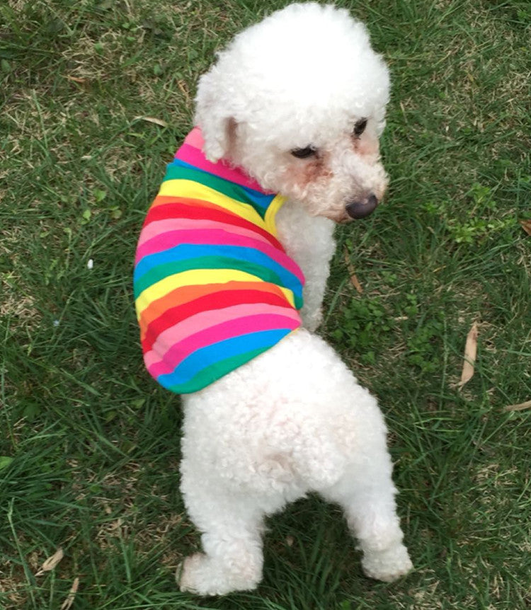 Rainbow Striped Pet Vest for Small Dogs and Cats Outdoors