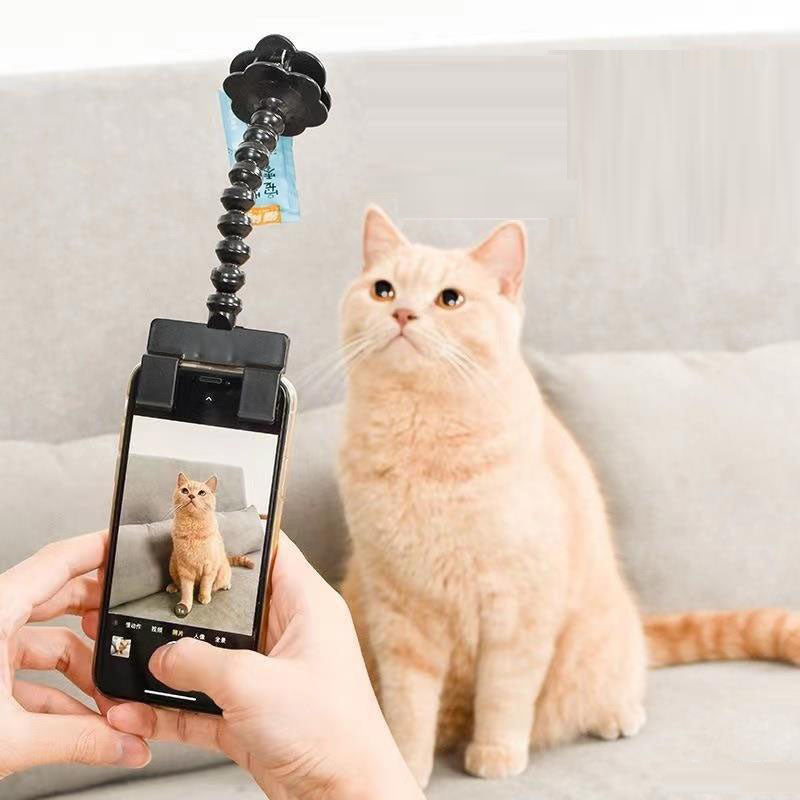 Pet Phone Camera Stand for Easier, Centered Photos