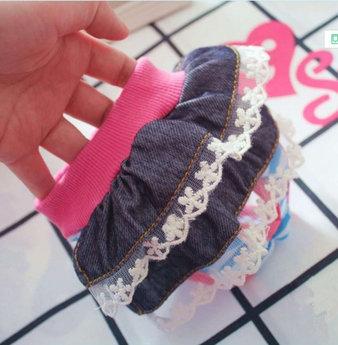 Dog Heat Pants for Small Dogs, Princess-Style Comfort