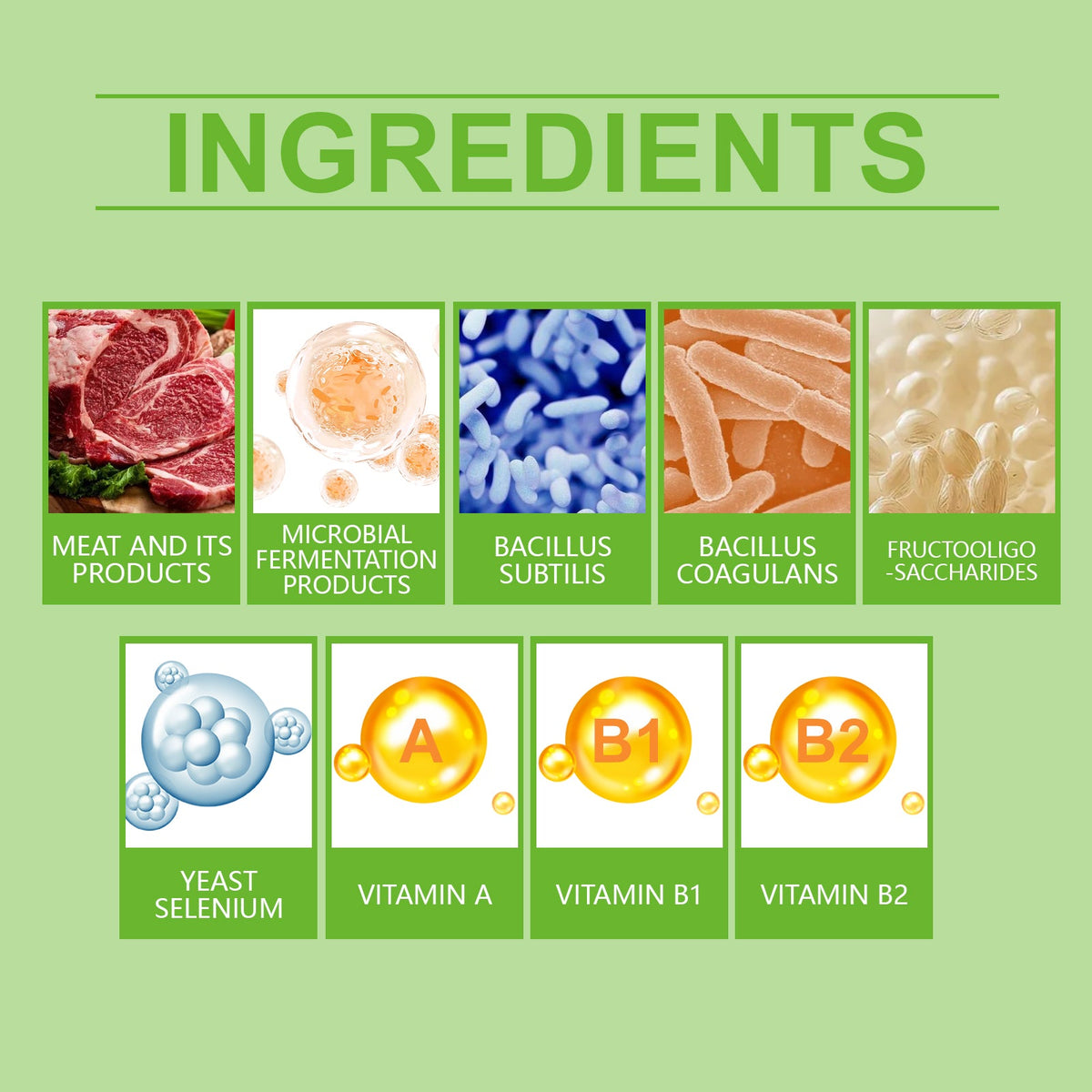 Pet Probiotic Tablets for Daily Digestive & Gut Health