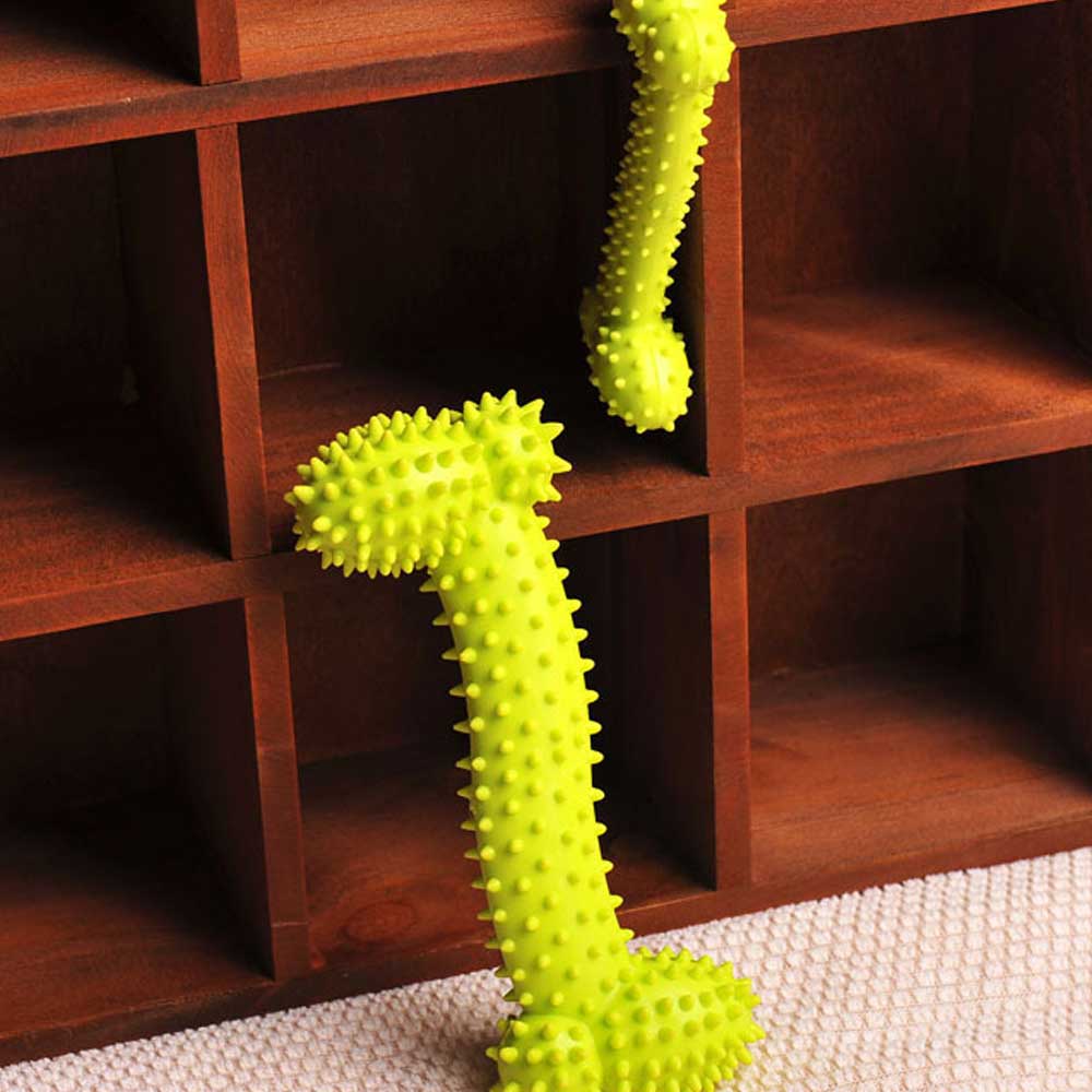 Textured Rubber Dog Toy for Chewing & Dental Play