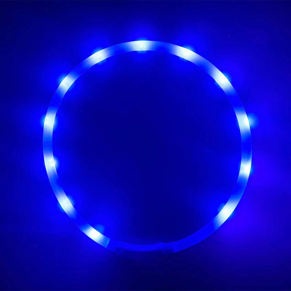 Rechargeable LED Dog Collar for Nighttime Visibility