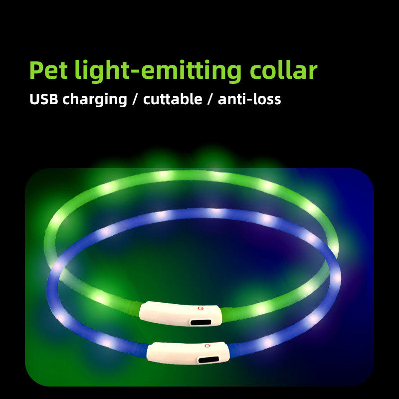 Rechargeable LED Dog Collar for Nighttime Visibility
