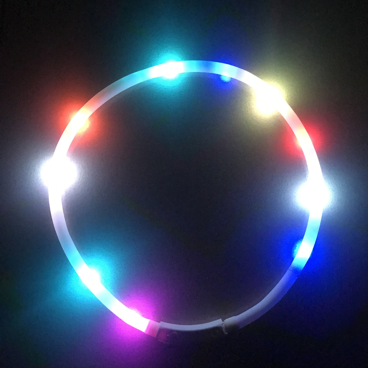 Rechargeable LED Dog Collar for Nighttime Visibility