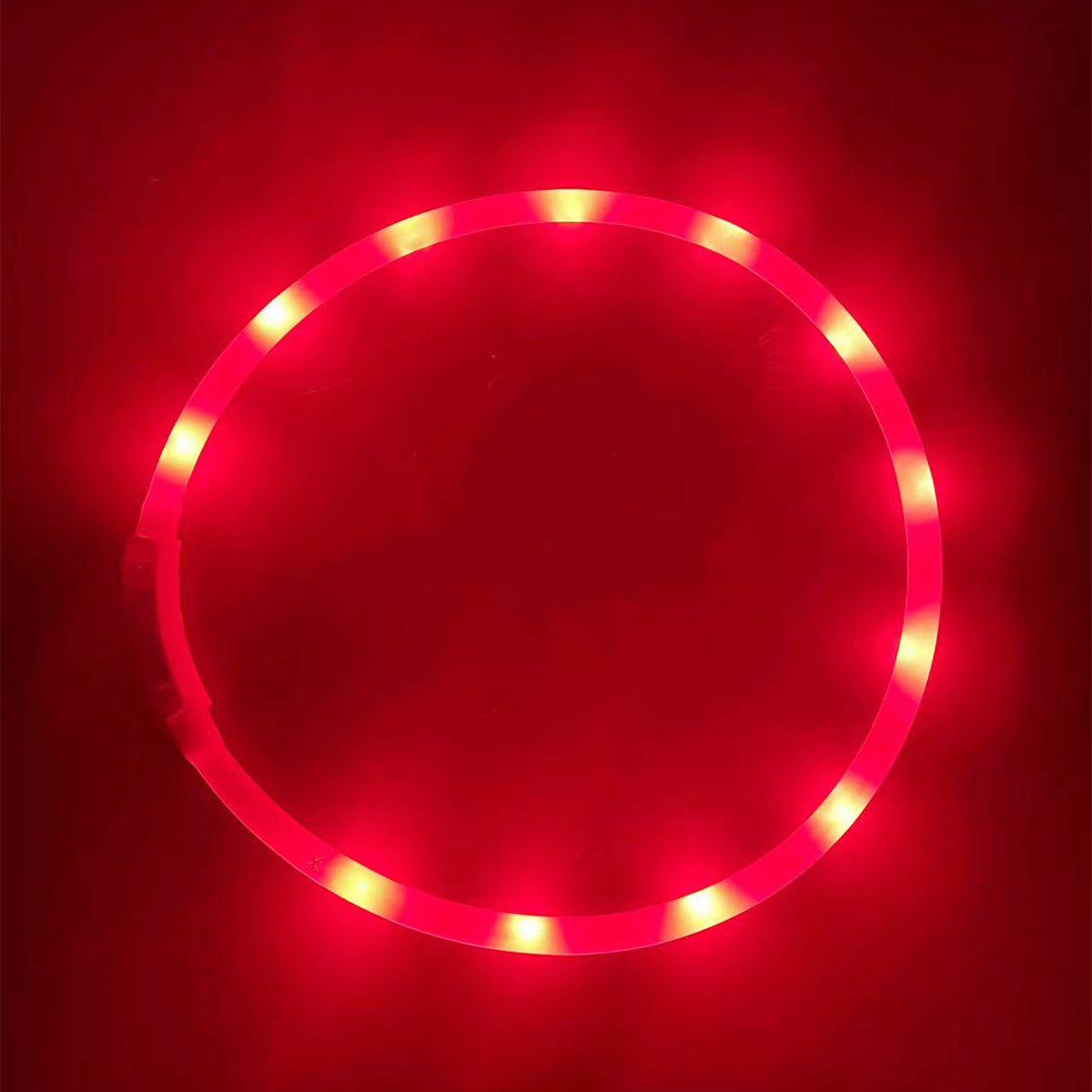 Rechargeable LED Dog Collar for Nighttime Visibility