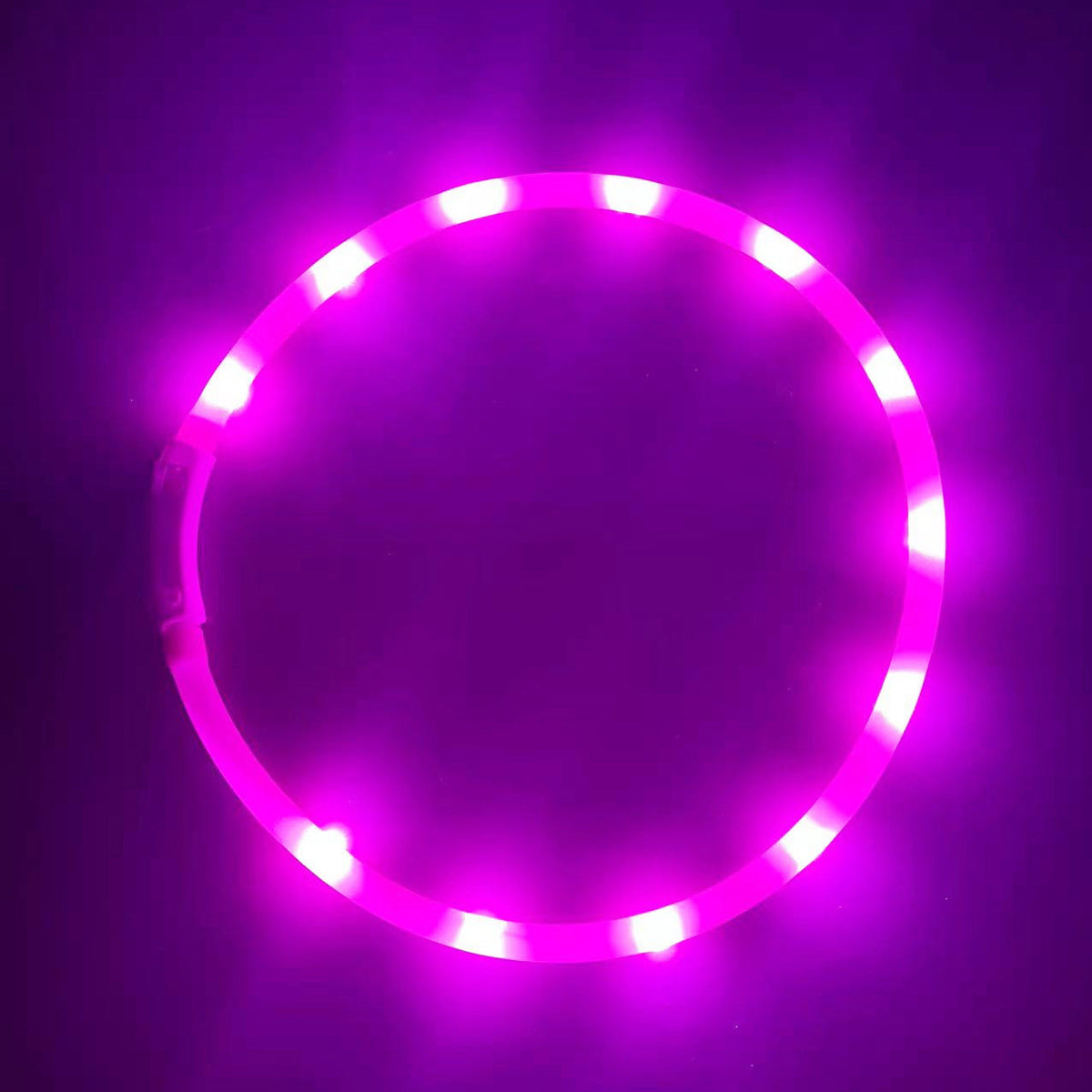 Rechargeable LED Dog Collar for Nighttime Visibility