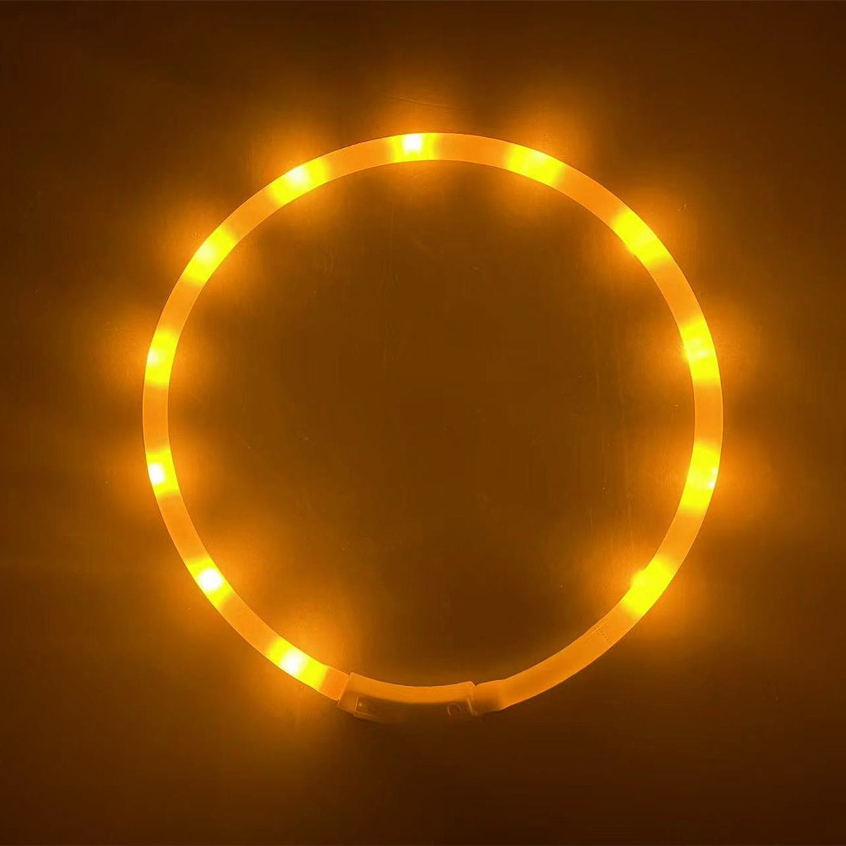 Rechargeable LED Dog Collar for Nighttime Visibility