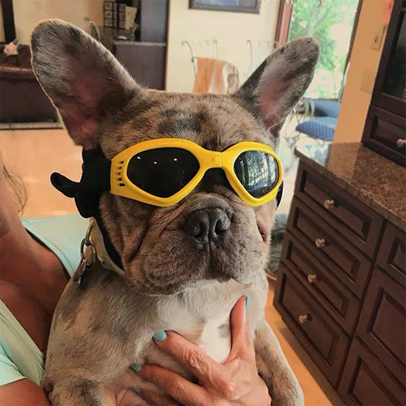 Dog Goggles for Small Dogs | Secure UV Eye Protection
