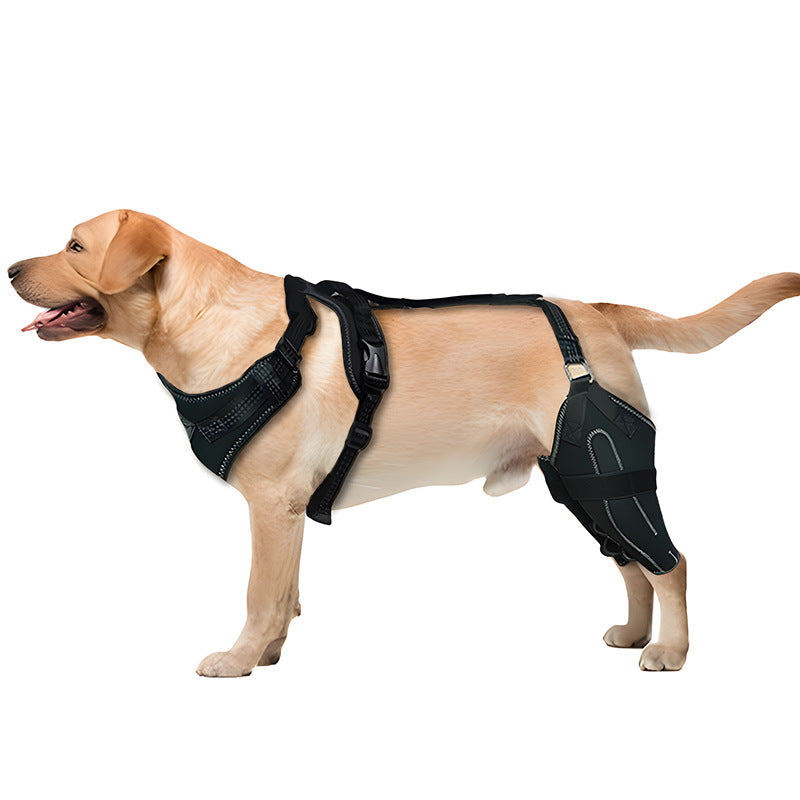 Dog Knee Brace & Hind-Leg Support Harness for Stability