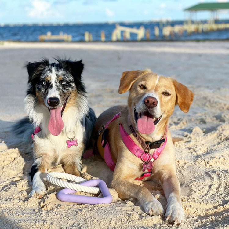 Interactive Dog Tug Toy for Engaging Play & Training