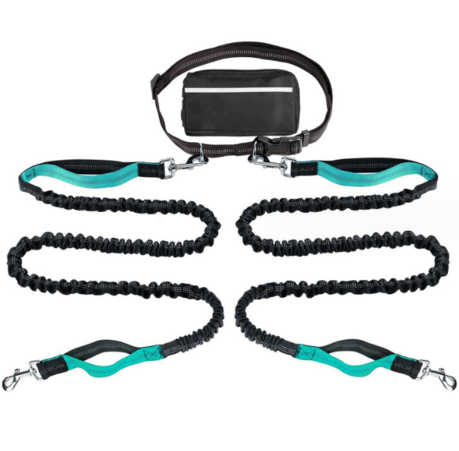 Hands-Free Dog Running Leash With Shock Absorption