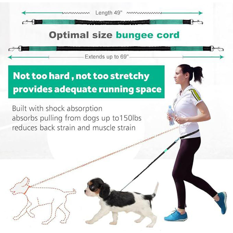 Hands-Free Dog Running Leash With Shock Absorption