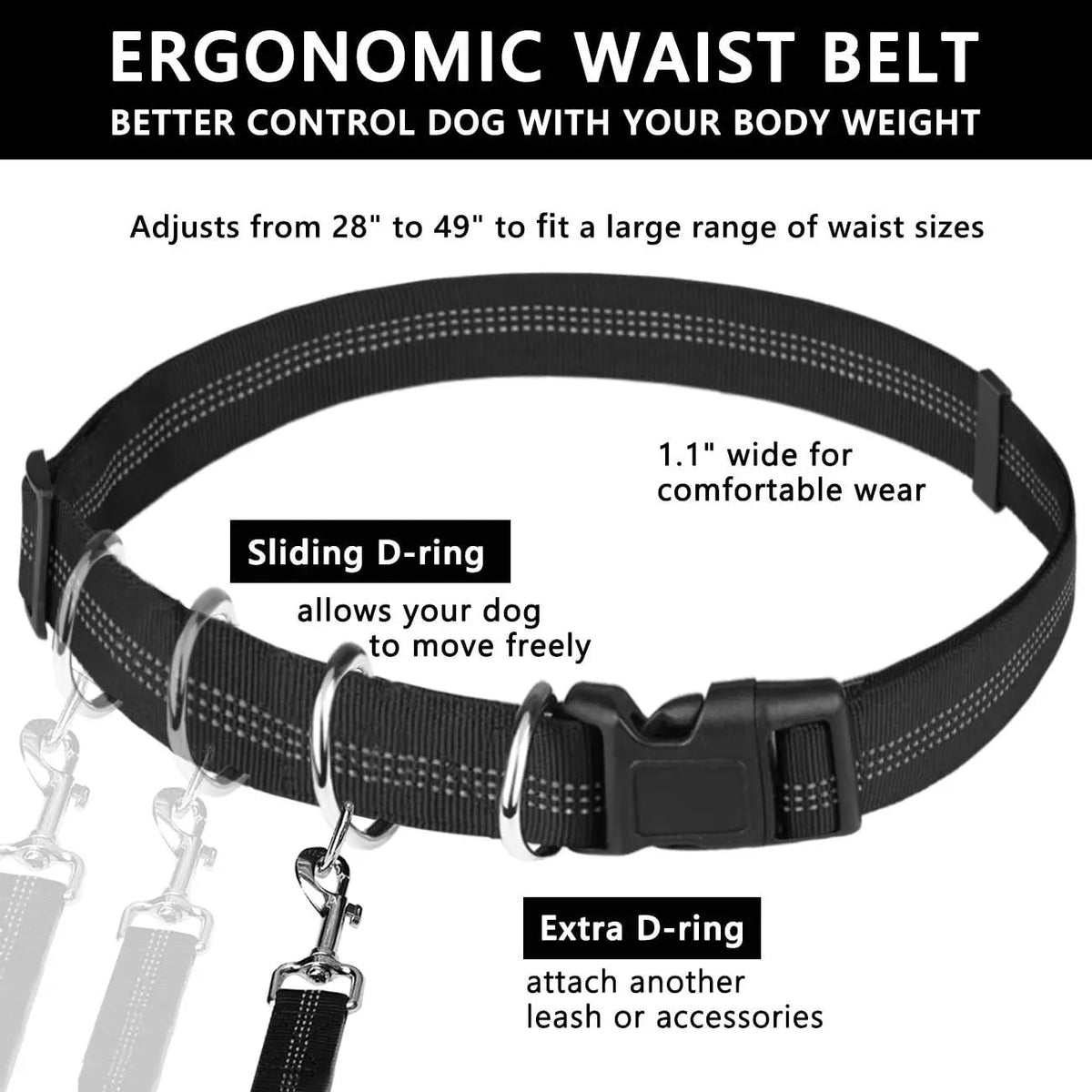 Hands-Free Dog Running Leash With Shock Absorption