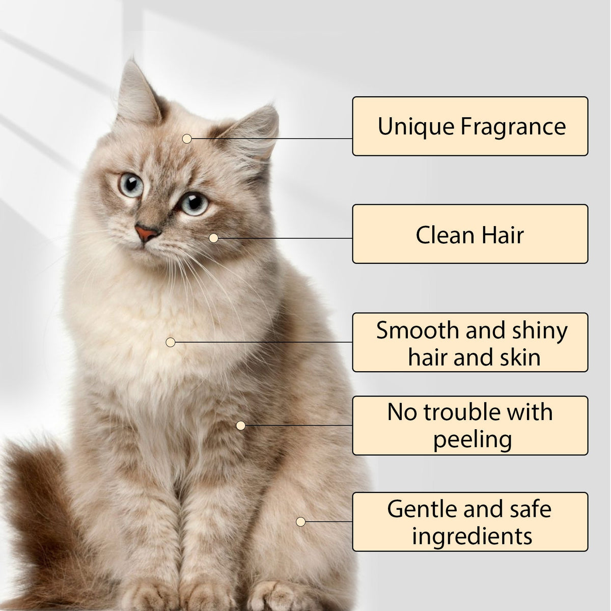 Pet Shampoo for Gentle Hydration and Easy Grooming