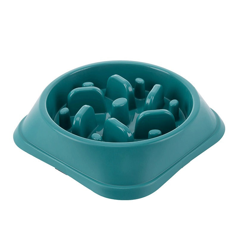 Slow Feeder Dog Bowl for Steadier, Calmer Mealtimes