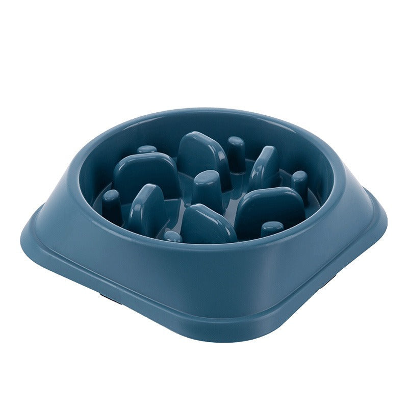 Slow Feeder Dog Bowl for Steadier, Calmer Mealtimes