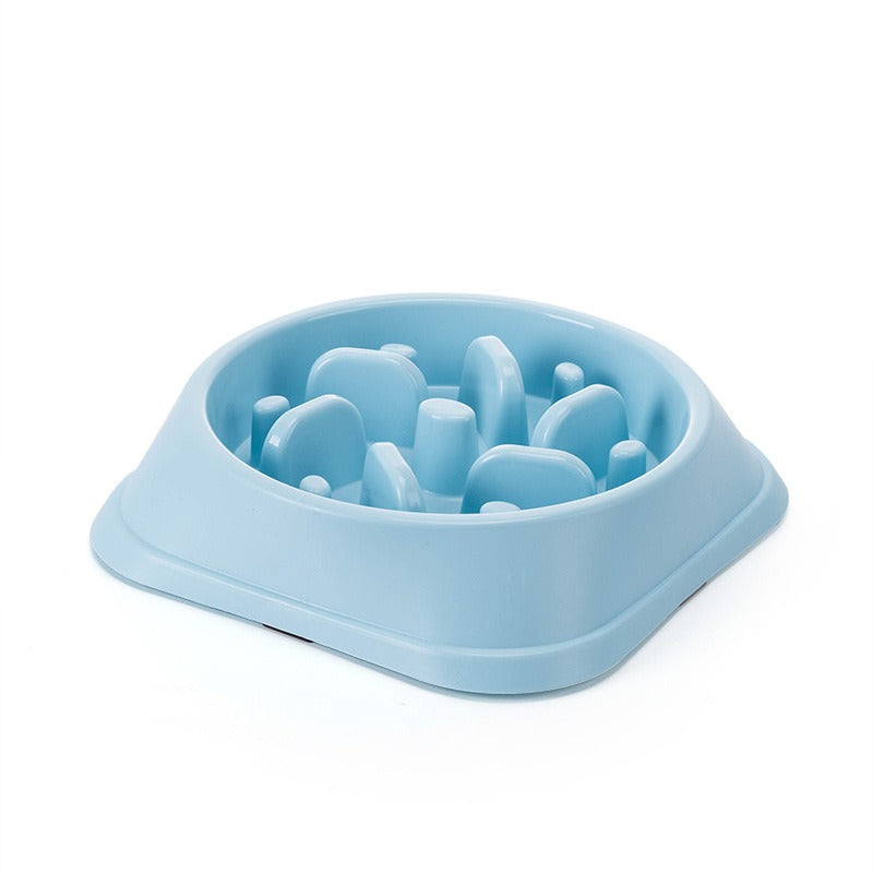Slow Feeder Dog Bowl for Steadier, Calmer Mealtimes
