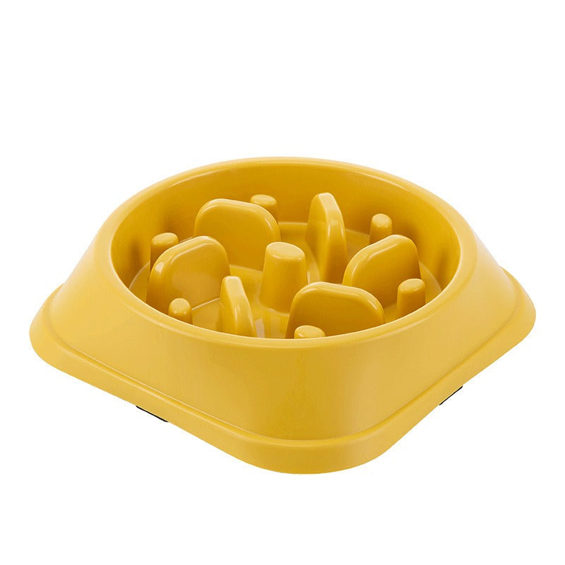 Slow Feeder Dog Bowl for Steadier, Calmer Mealtimes