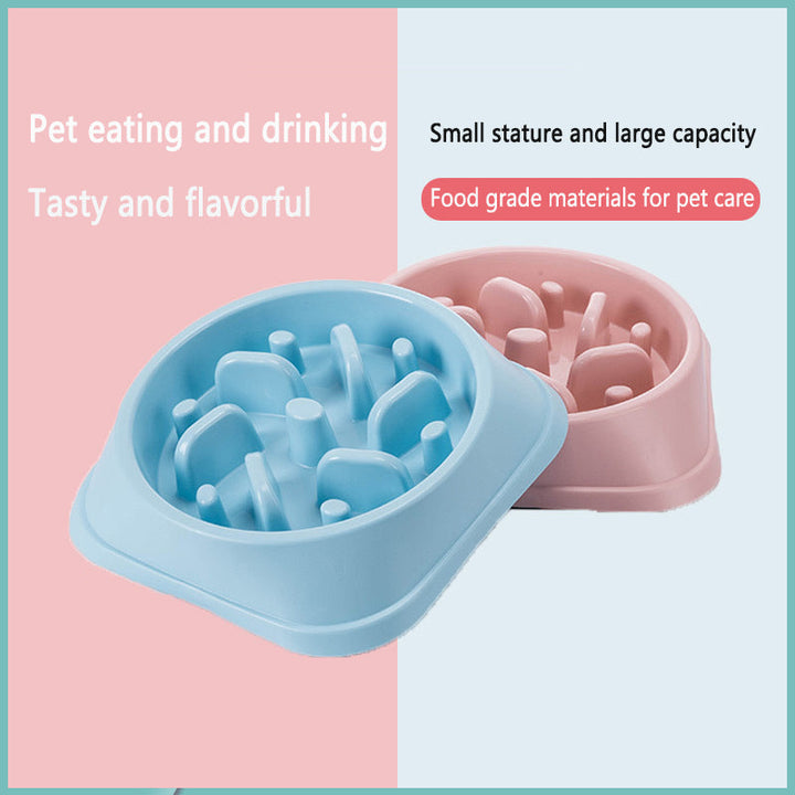 Slow Feeder Dog Bowl for Steadier, Calmer Mealtimes