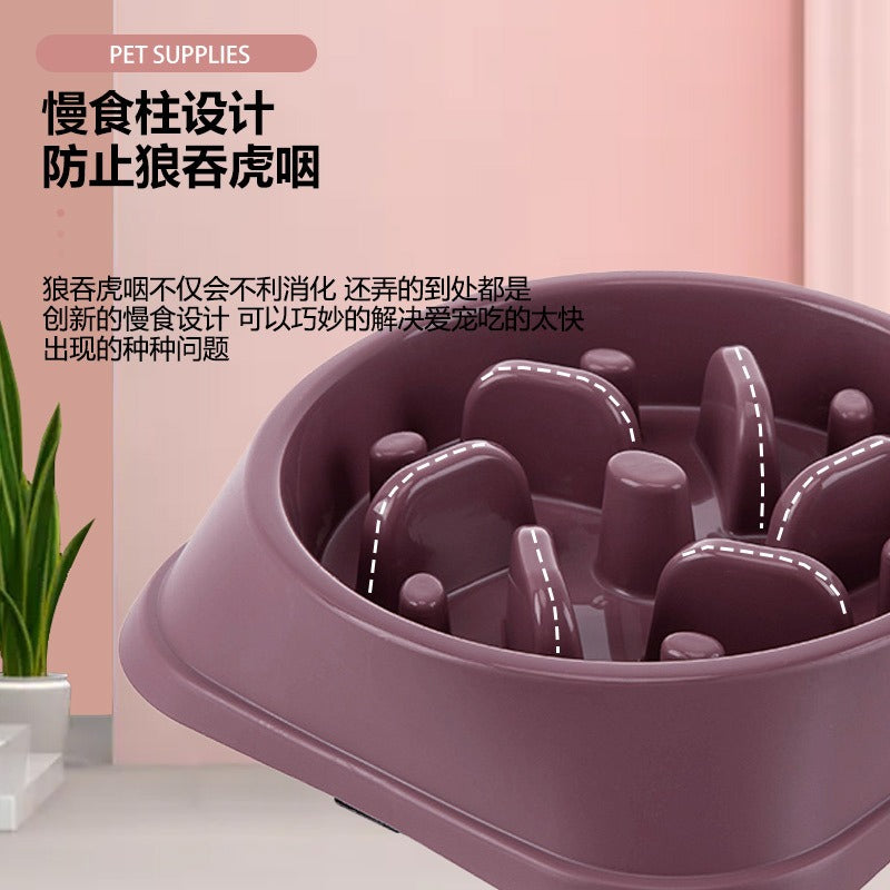 Slow Feeder Dog Bowl for Steadier, Calmer Mealtimes