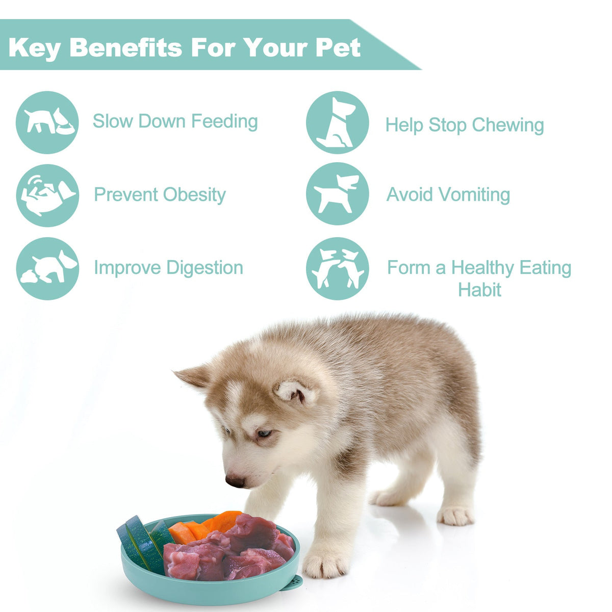 Pet Slow Feeder Bowl for Dogs & Cats, No-Slip Silicone