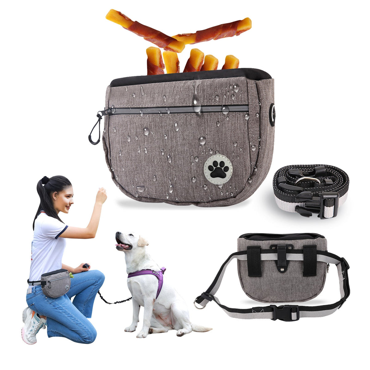 Dog Treat Pouch With Hands-Free Training & Storage