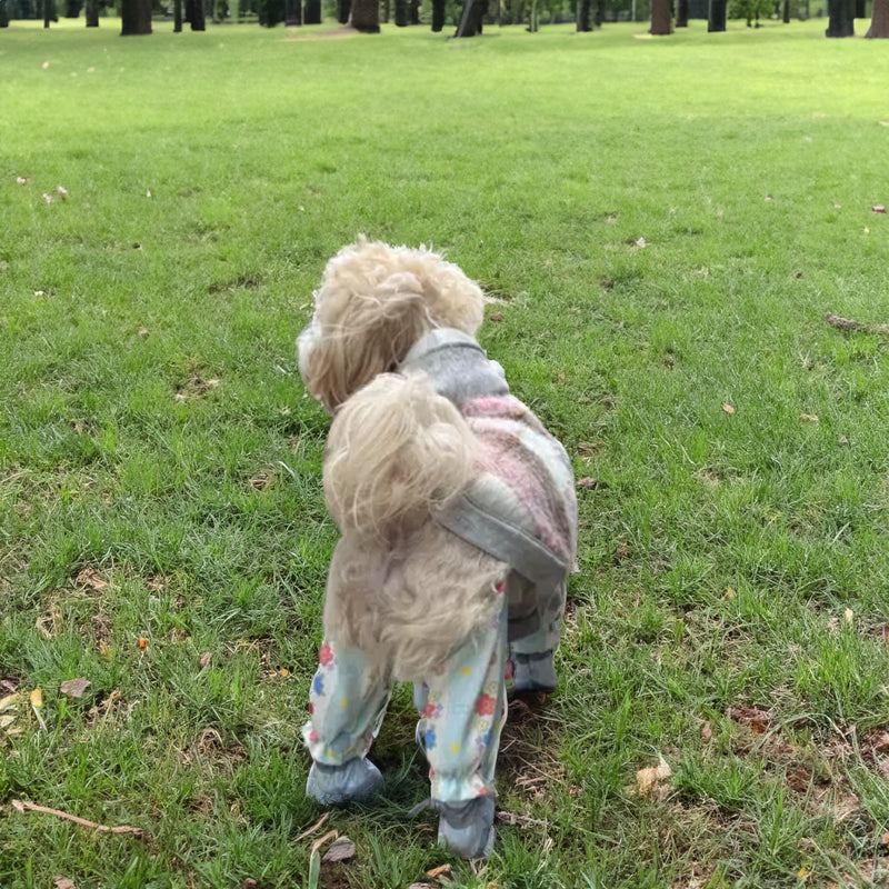 Small Dog Pet Jumpsuit With Paw Covers | Cleaner Walks