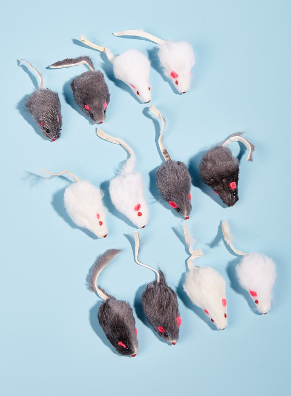 Cat Mouse Toys, 12-Pack for Indoor Play Enrichment