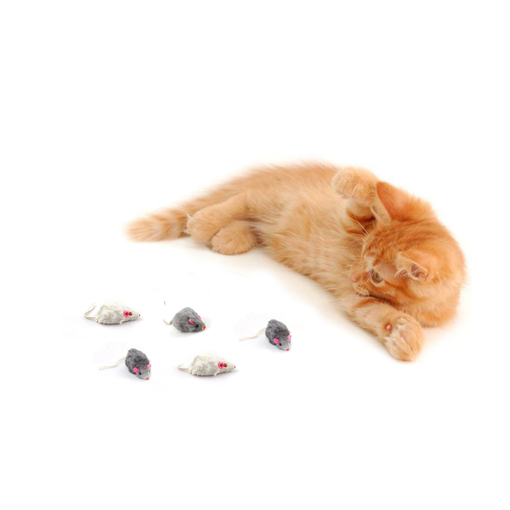 Cat Mouse Toys, 12-Pack for Indoor Play Enrichment