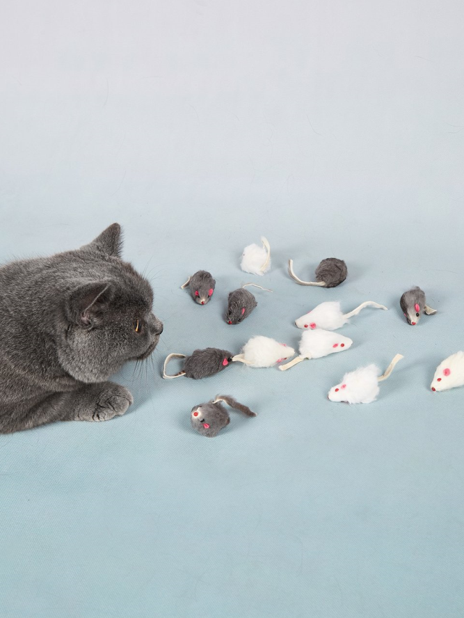 Cat Mouse Toys, 12-Pack for Indoor Play Enrichment