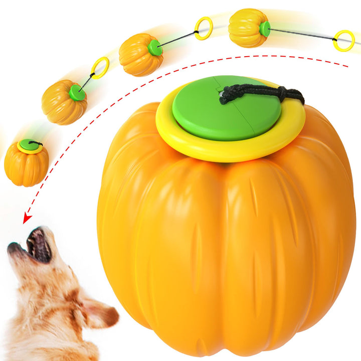 Pumpkin Dog Chew Ball for Dental Play, Fetch and Tug