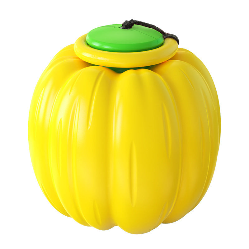 Pumpkin Dog Chew Ball for Dental Play, Fetch and Tug
