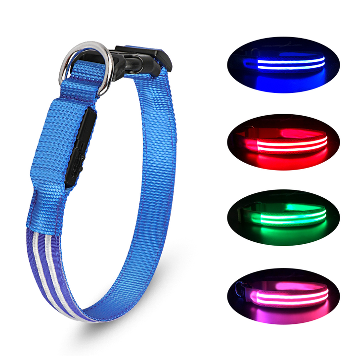LED Dog Collar for Night Walks, USB Rechargeable Safety