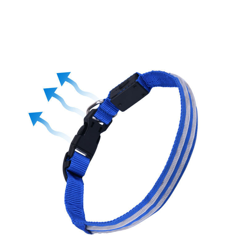 LED Dog Collar for Night Walks, USB Rechargeable Safety