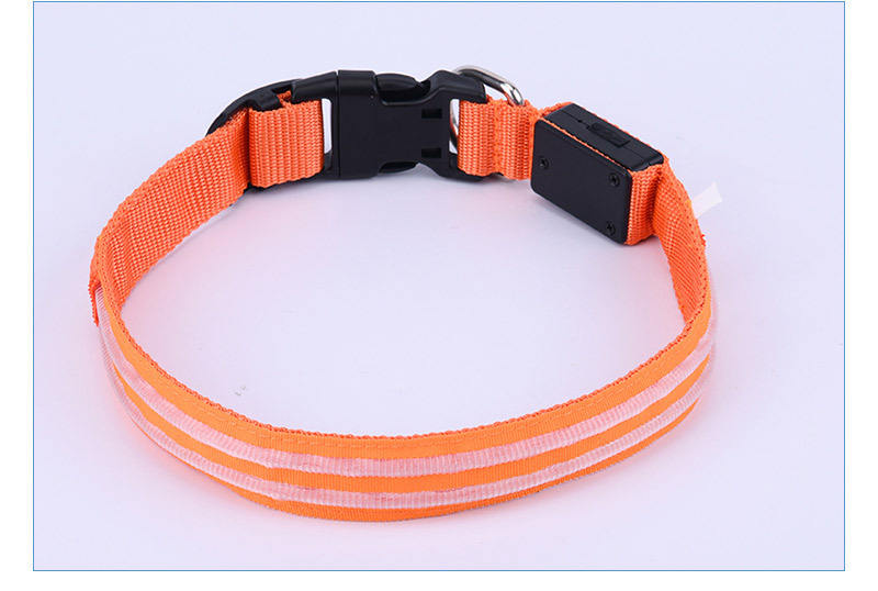 LED Dog Collar for Night Walks, USB Rechargeable Safety
