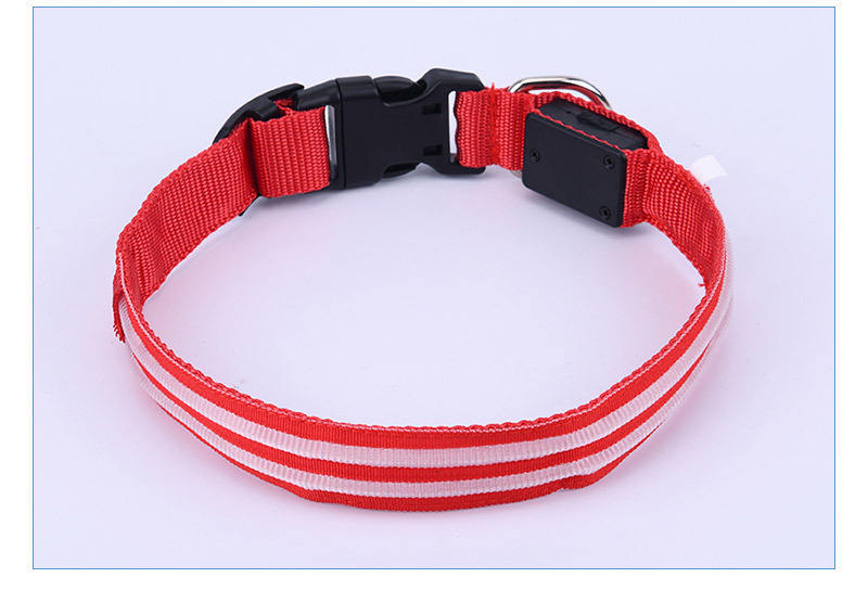 LED Dog Collar for Night Walks, USB Rechargeable Safety