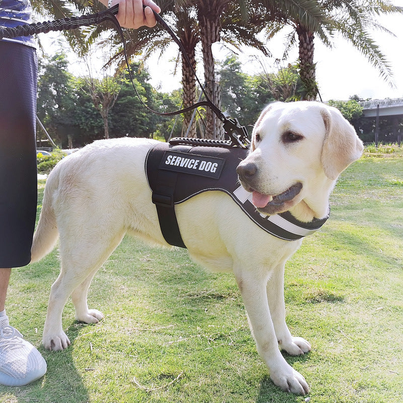 Anti-Escape Dog Leash for Safer, Calmer Large-Dog Walks