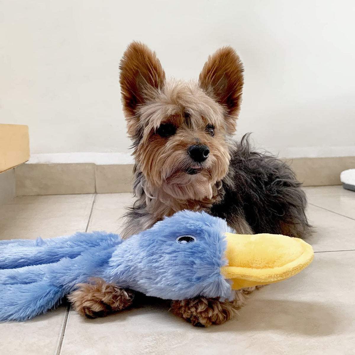 Stuffing-Free Duck Dog Toy for Engaging, Less-Messy Play