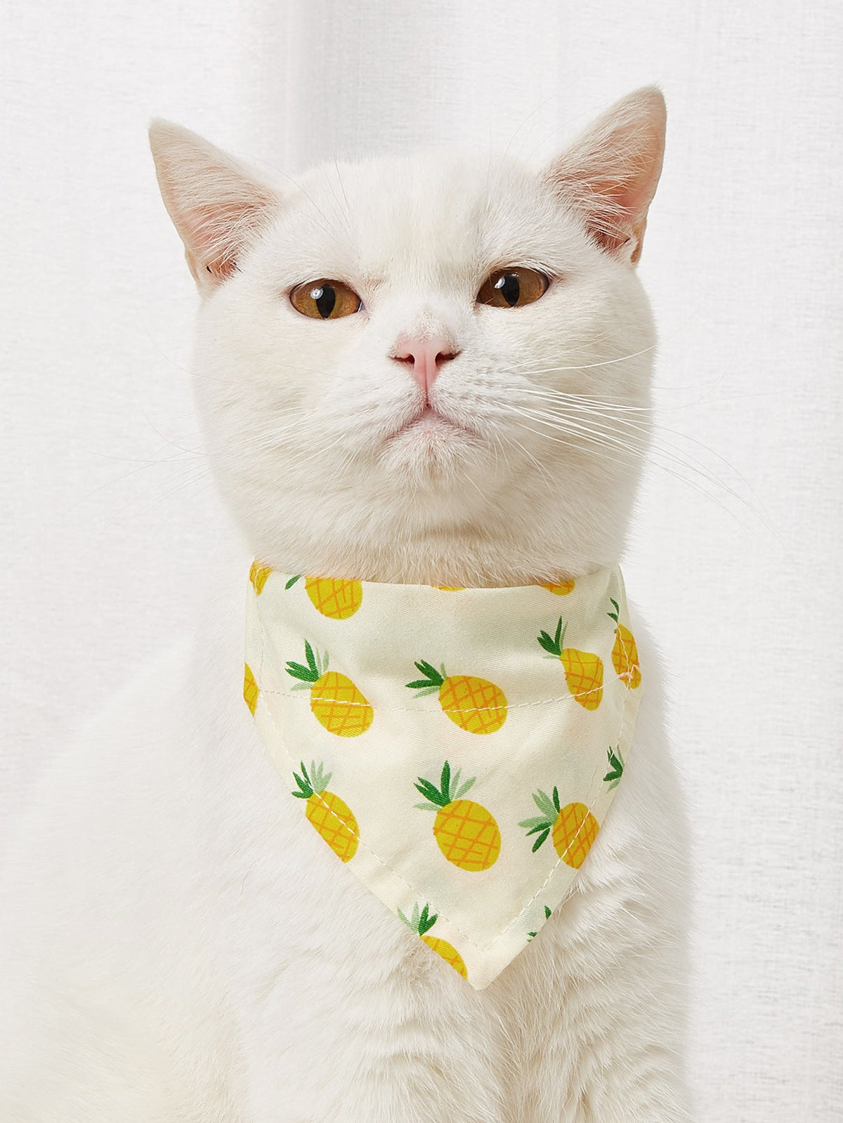 Pet Triangle Bandana Collar for Cute Everyday Style