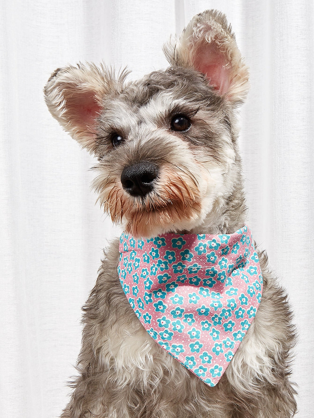 Pet Triangle Bandana Collar for Cute Everyday Style
