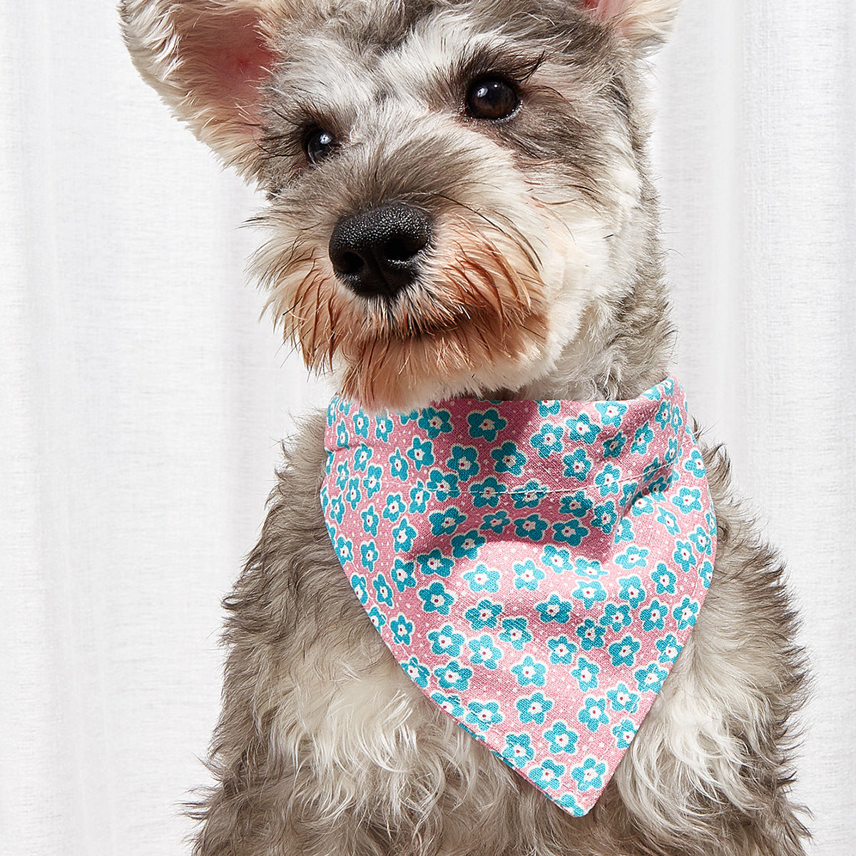 Pet Triangle Bandana Collar for Cute Everyday Style