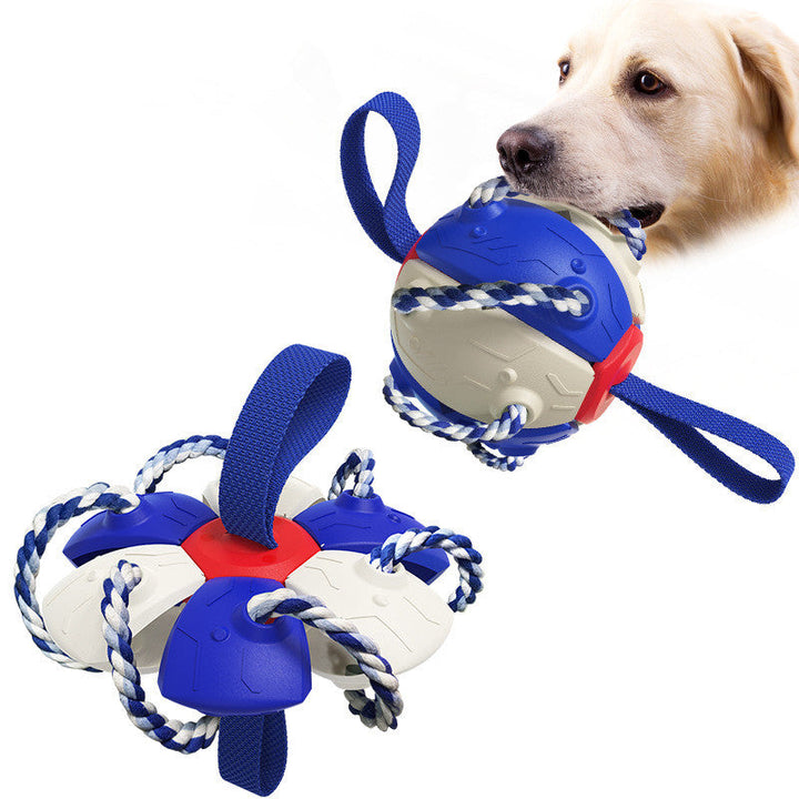 Interactive Dog Frisbee Toy for Outdoor Fetch & Tug