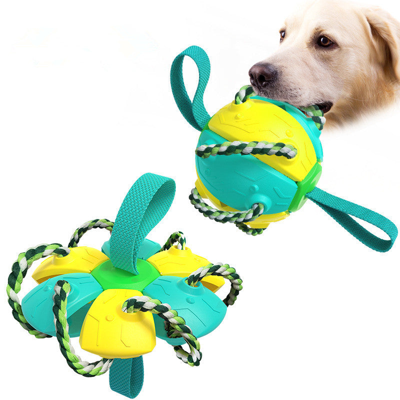 Interactive Dog Frisbee Toy for Outdoor Fetch & Tug