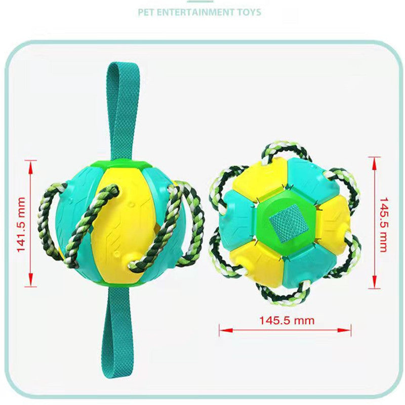 Interactive Dog Frisbee Toy for Outdoor Fetch & Tug