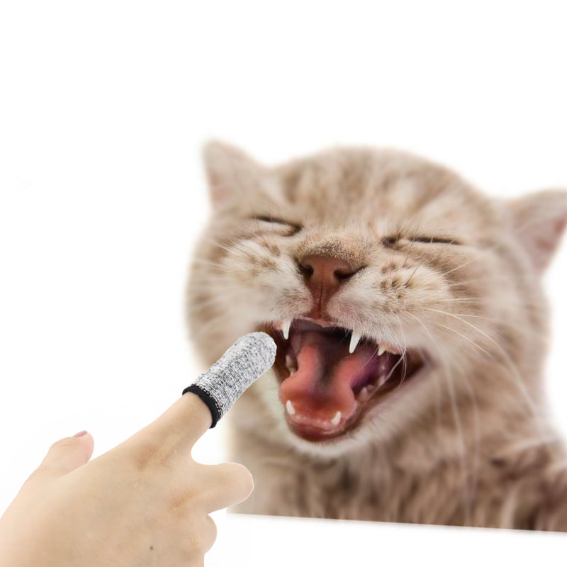 Pet Finger Toothbrushes for Safer, Easier Teeth Cleaning